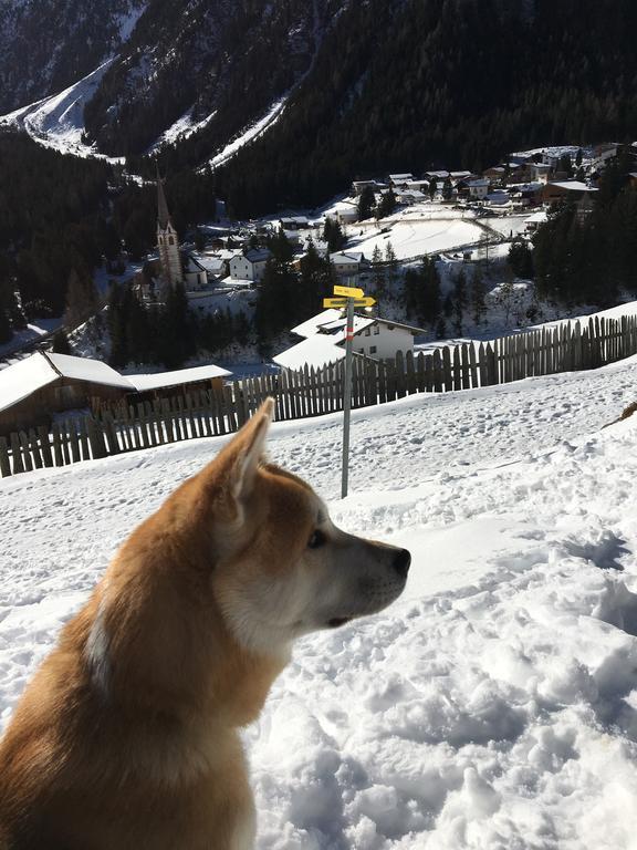 Pension Alpenrose Sankt Sigmund im Sellrain Exterior foto